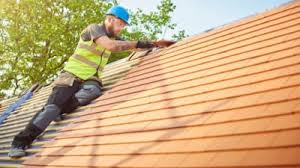 Best Roof Insulation Installation  in Salamanca, NY