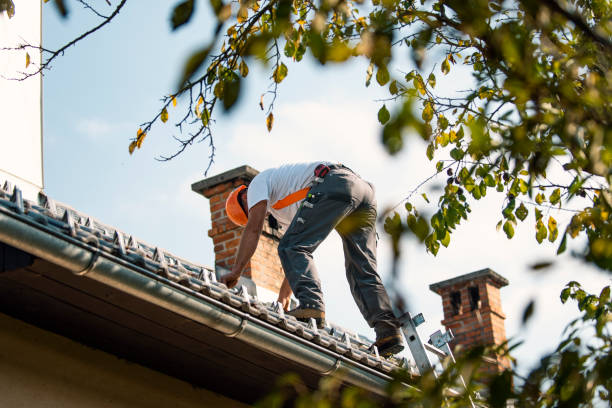 Best Roof Ventilation Installation  in Salamanca, NY