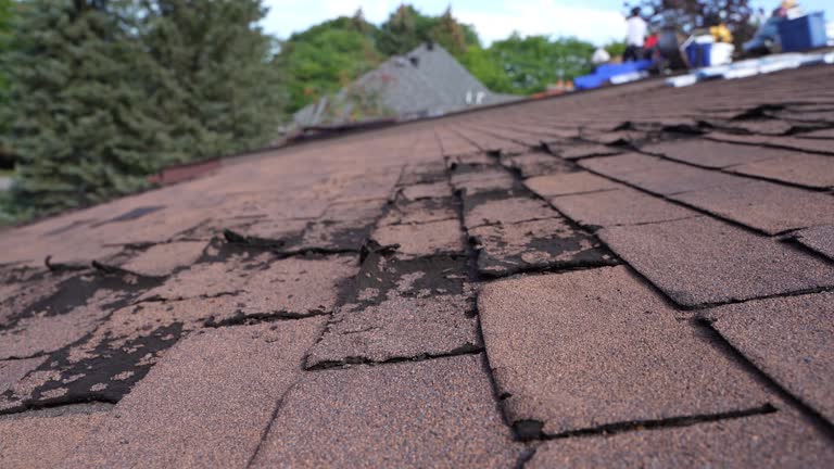 Best Tile Roofing Installation  in Salamanca, NY